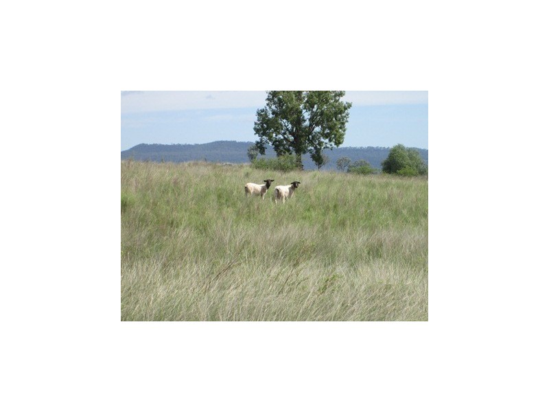 1 Gineroi Road, Warialda NSW 2402
