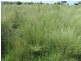 1 Gineroi Road, Warialda NSW 2402