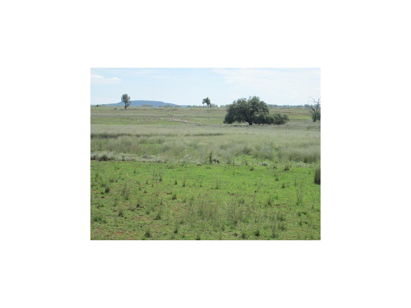 1 Gineroi Road, Warialda NSW 2402