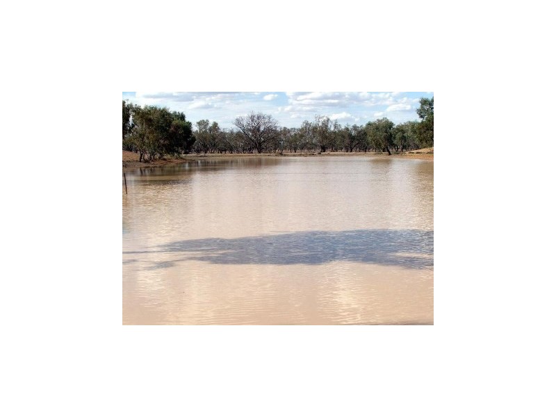 1 Cumborah Road, Walgett NSW 2832