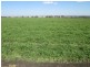 1 Fairfield Road, Warialda NSW 2402
