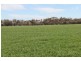 1 Mungindi Road, Thallon QLD 4497