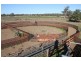 1 Mungindi Road, Thallon QLD 4497