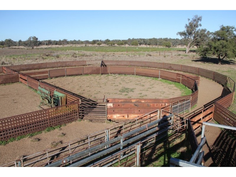 1 Mungindi Road, Thallon QLD 4497