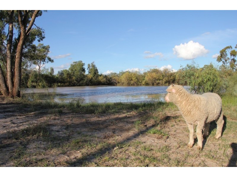 1 Mungindi Road, Thallon QLD 4497