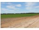 1 Mungindi Road, Thallon QLD 4497