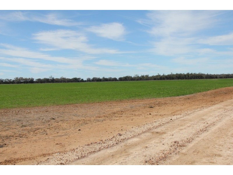 1 Mungindi Road, Thallon QLD 4497