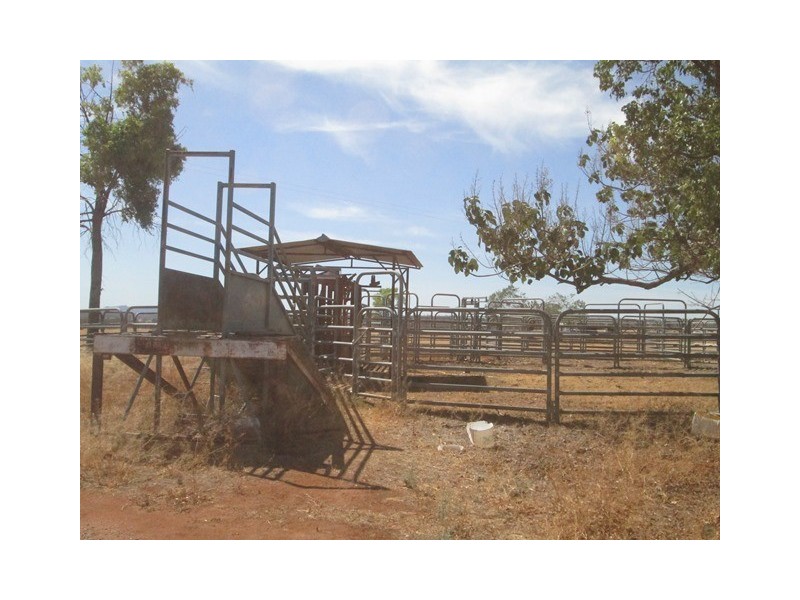 1 Yolandra, Biniguy NSW 2399