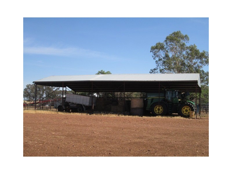 1 Yolandra, Biniguy NSW 2399