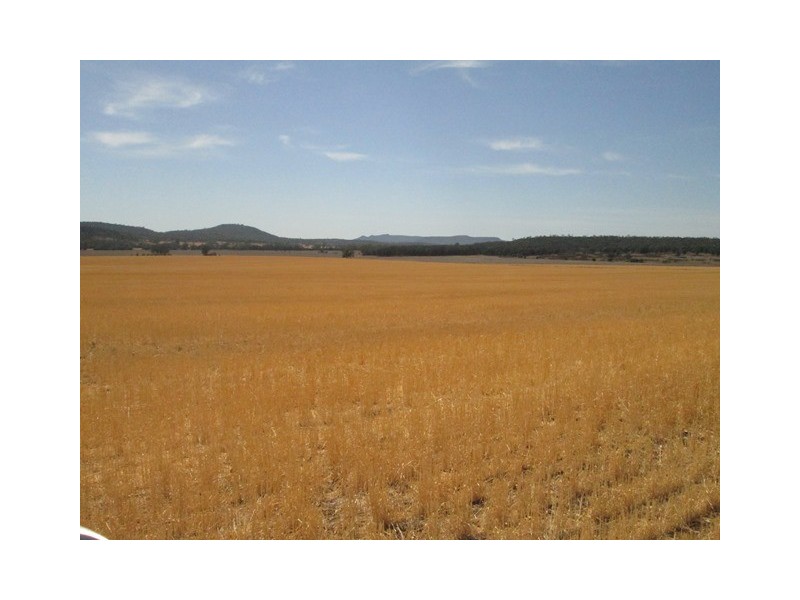 1 Yolandra, Biniguy NSW 2399