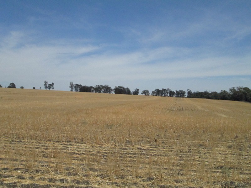 1 Mt Jerrybong Road, Biniguy NSW 2399