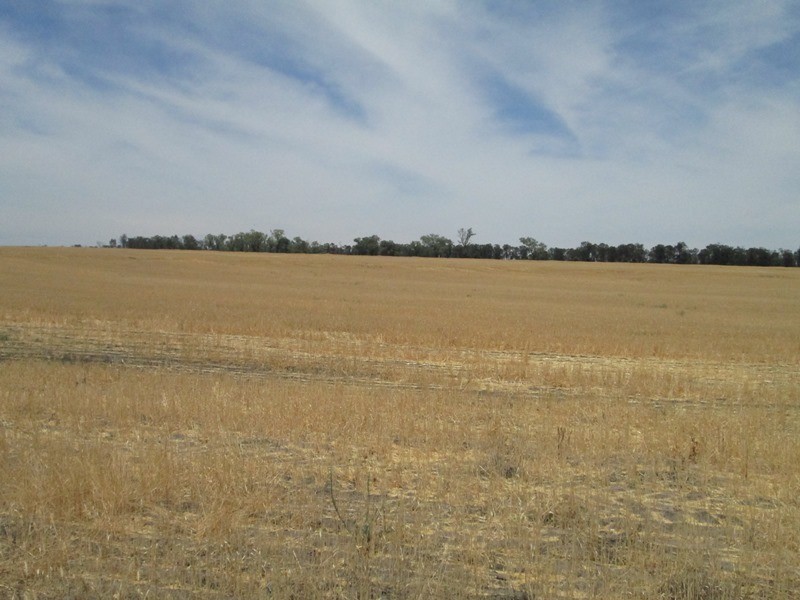 1 Mt Jerrybong Road, Biniguy NSW 2399