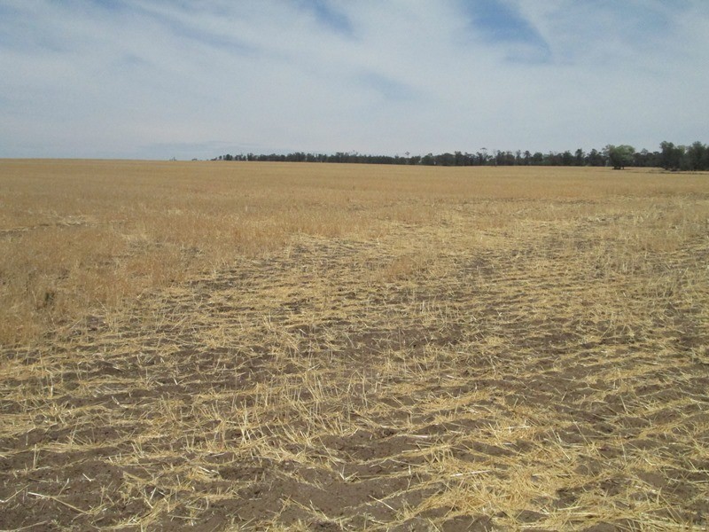 1 Mt Jerrybong Road, Biniguy NSW 2399