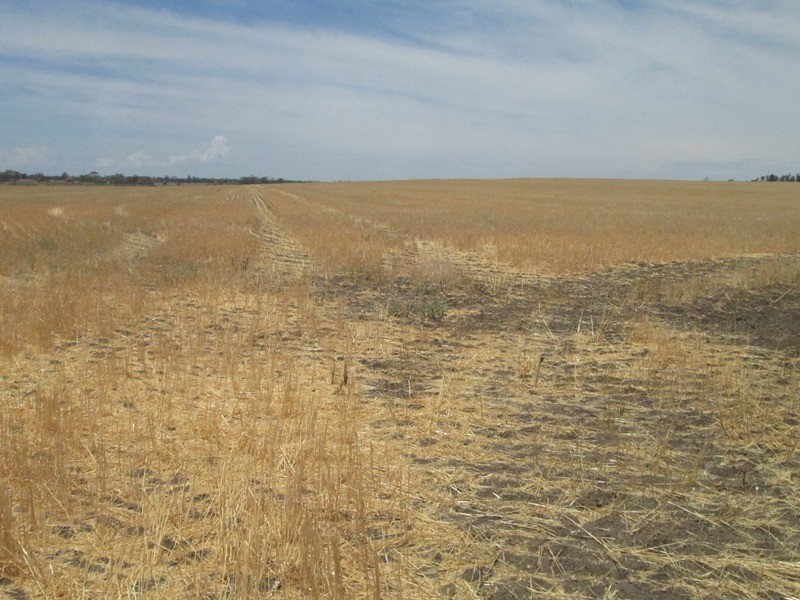 1 Mt Jerrybong Road, Biniguy NSW 2399