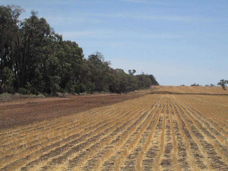 1 Mt Jerrybong Road, Biniguy NSW 2399