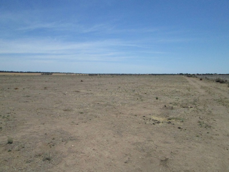 1 Mt Jerrybong Road, Biniguy NSW 2399