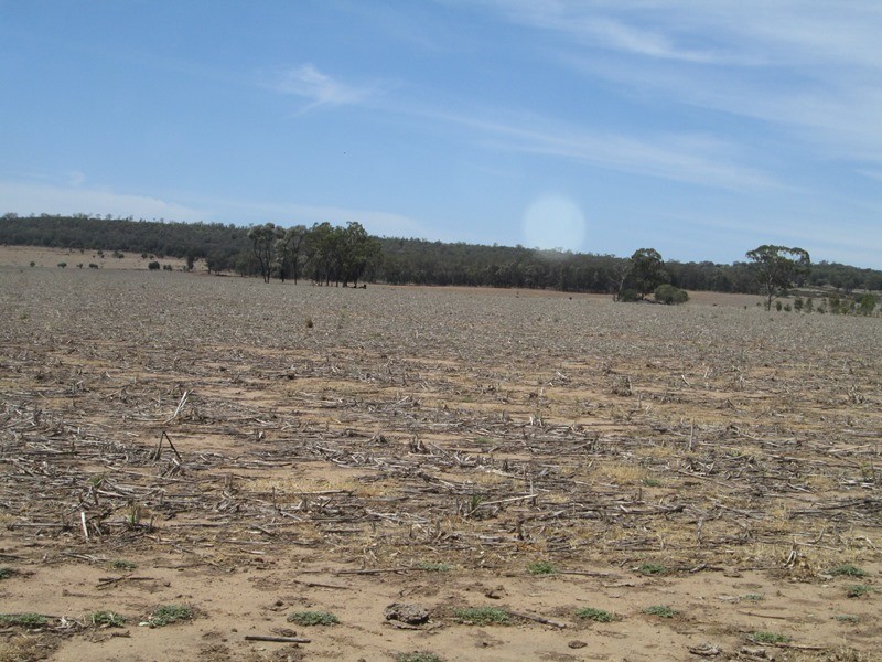 1a Mt Jerrybank Road, Biniguy NSW 2399