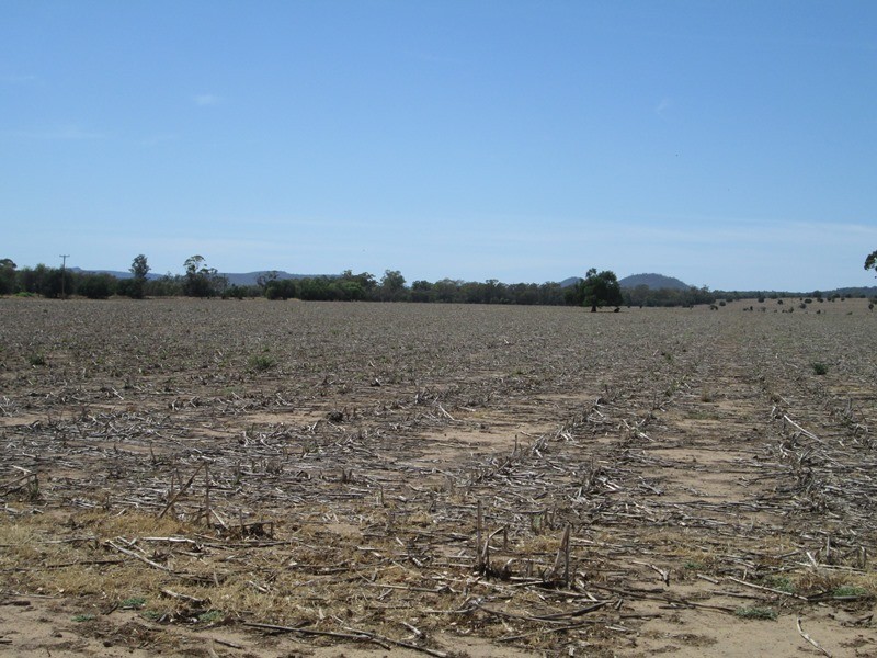 1a Mt Jerrybank Road, Biniguy NSW 2399