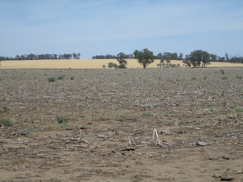 1a Mt Jerrybank Road, Biniguy NSW 2399