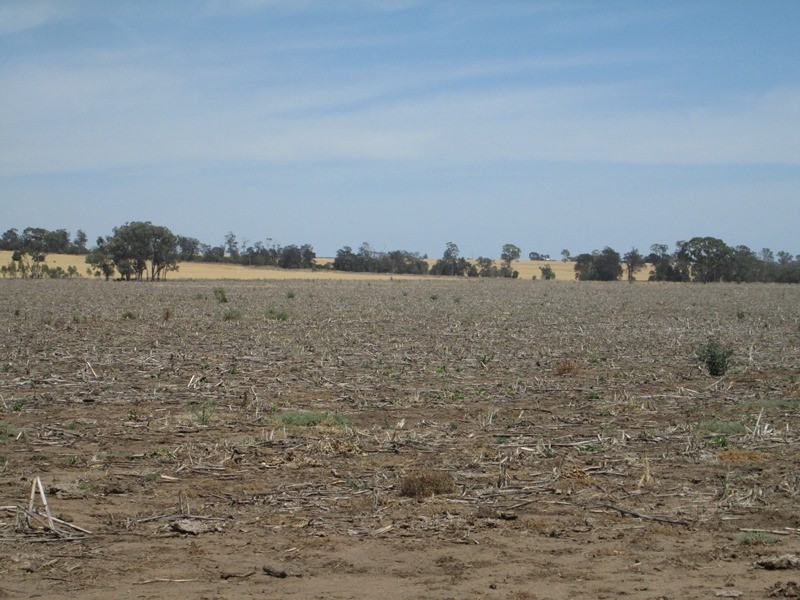 1a Mt Jerrybank Road, Biniguy NSW 2399