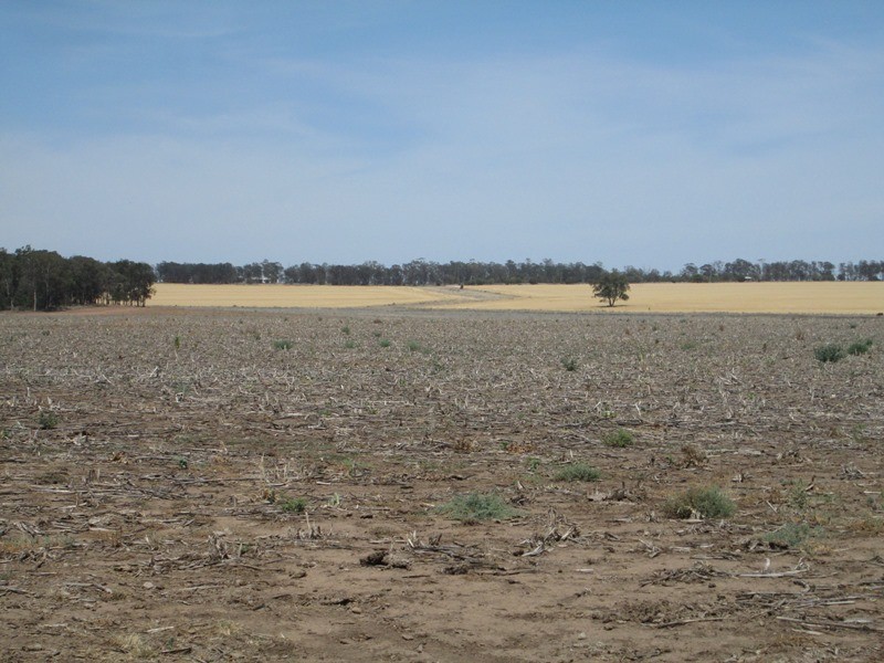 1a Mt Jerrybank Road, Biniguy NSW 2399