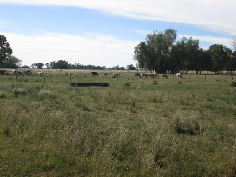 1 Terry Hie Hie Road, Moree NSW 2400