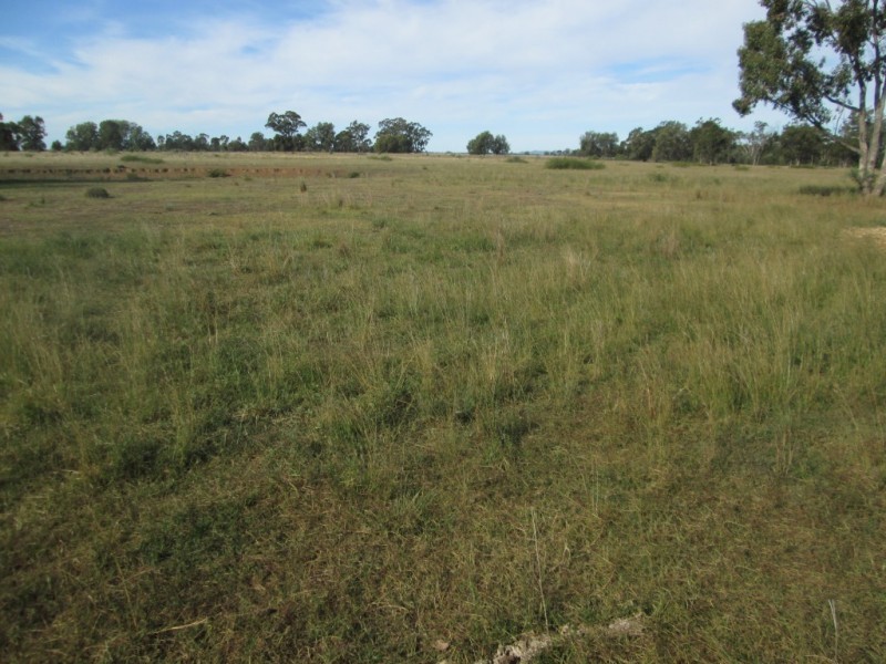 1 Terry Hie Hie Road, Moree NSW 2400