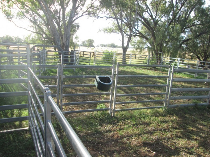 1 Terry Hie Hie Road, Moree NSW 2400