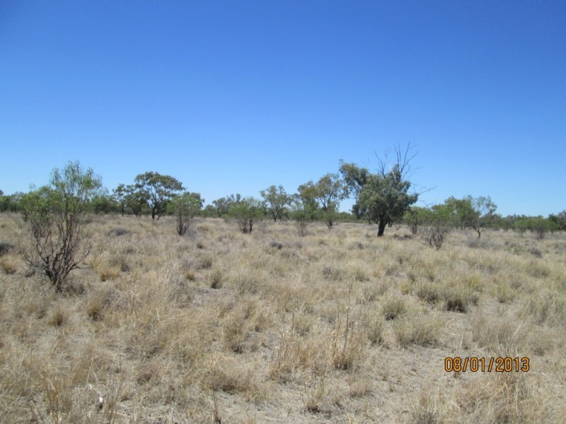 1a Cumborah Road, Walgett NSW 2832