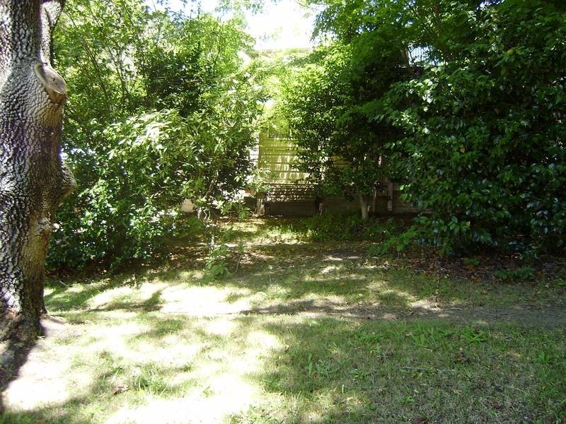 11 Falcon Street, Hazelbrook NSW 2779