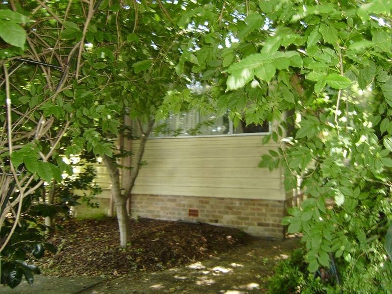 11 Falcon Street, Hazelbrook NSW 2779