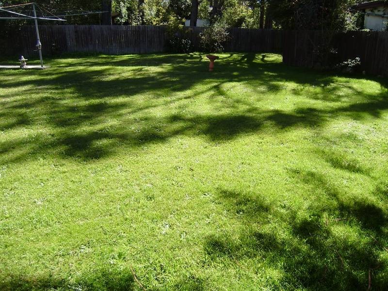 231 Great Western Highway, Lawson NSW 2783