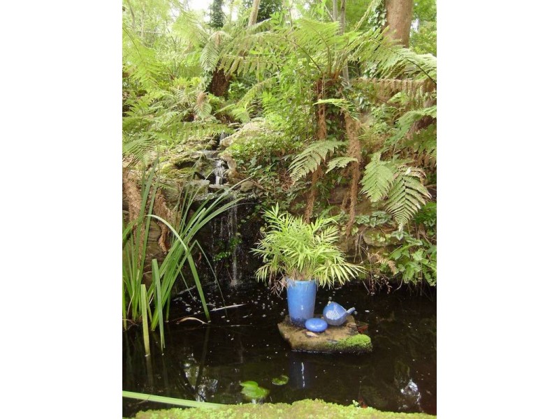 8 Landseer Road, Hazelbrook NSW 2779