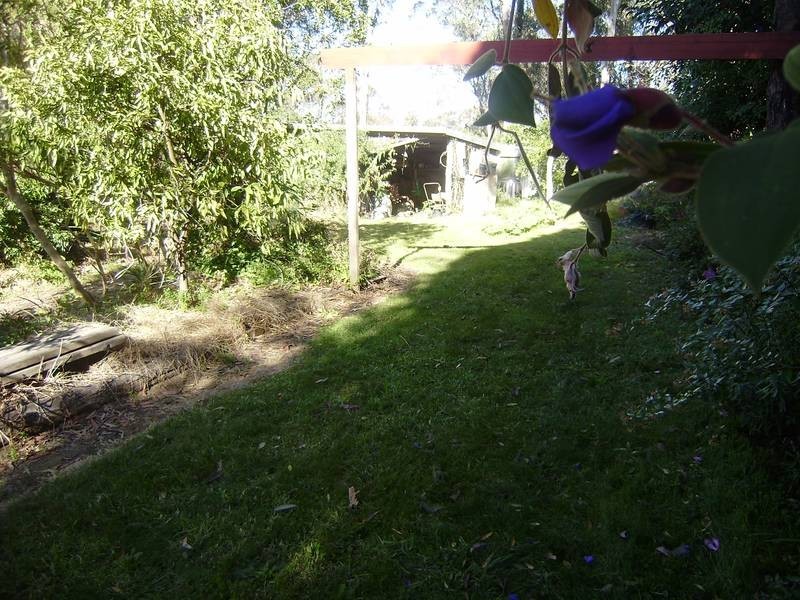 33 Henry Street, Lawson NSW 2783