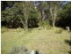 41 Bullaburra Road, Bullaburra NSW 2784