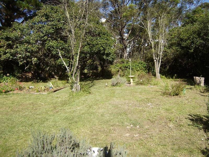 41 Bullaburra Road, Bullaburra NSW 2784