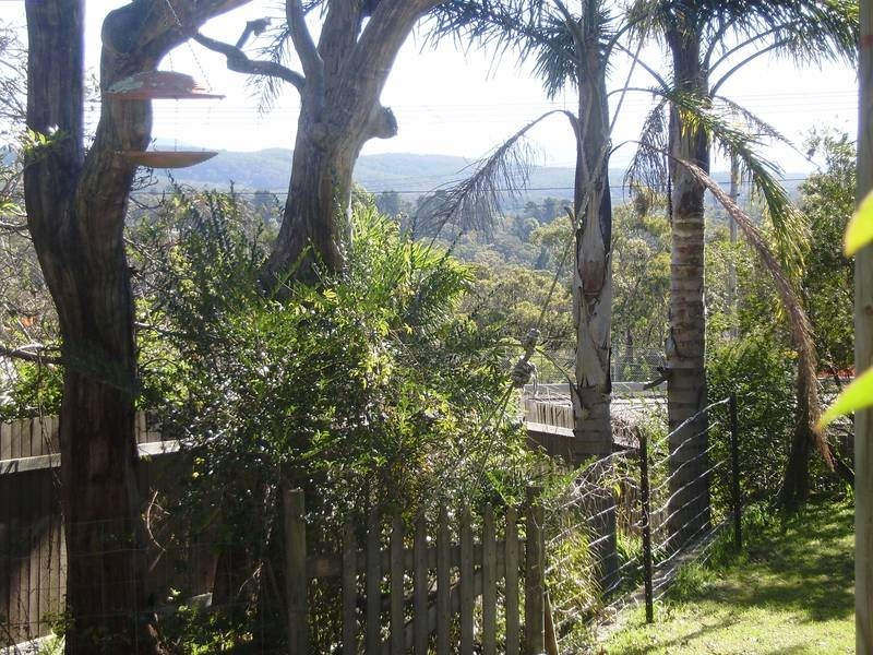 7 Mona Road, Woodford NSW 2778