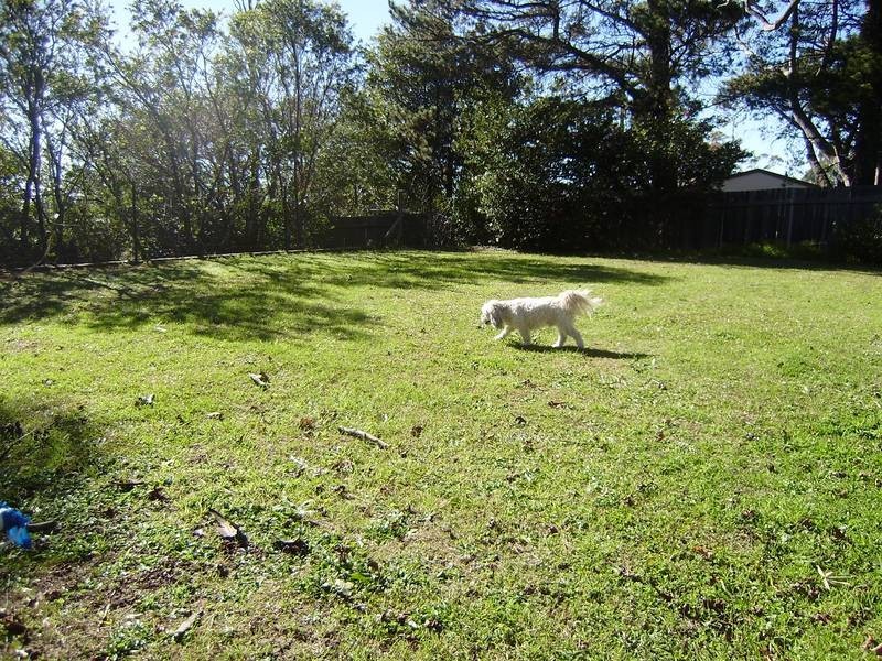 7 Mona Road, Woodford NSW 2778