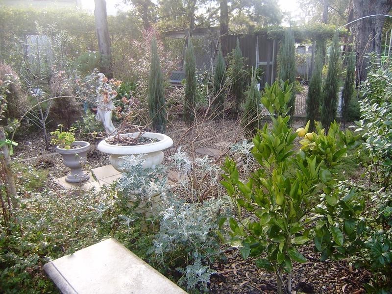 74 Boronia Road, Bullaburra NSW 2784