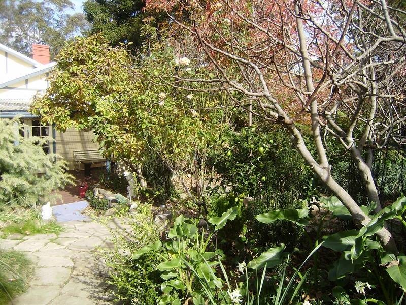 43a Kalinda Road, Bullaburra NSW 2784