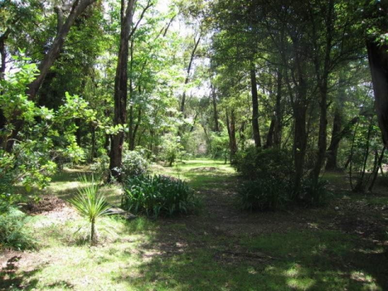 30 Wilson Street, Lawson NSW 2783