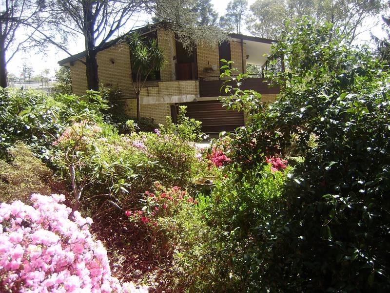 8 Orient Street, Lawson NSW 2783