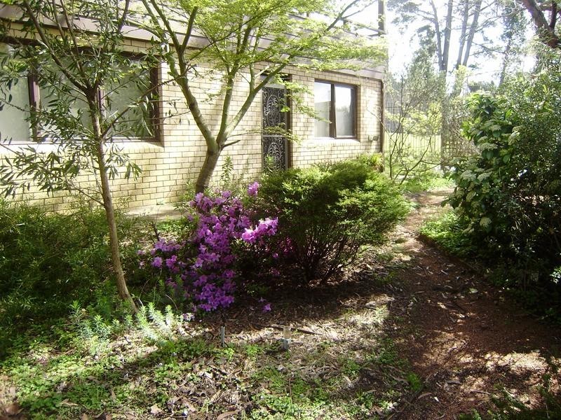 8 Orient Street, Lawson NSW 2783