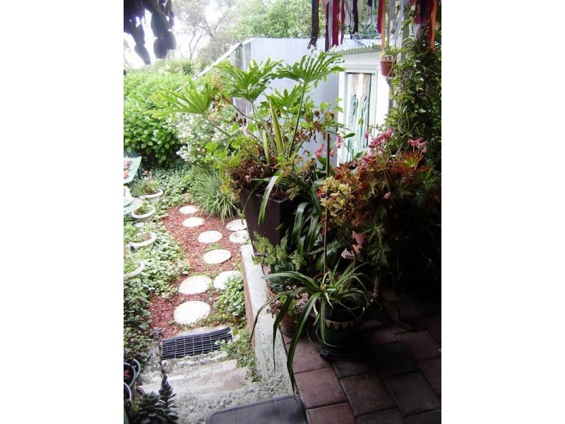 68 Liggins Road, Hazelbrook NSW 2779