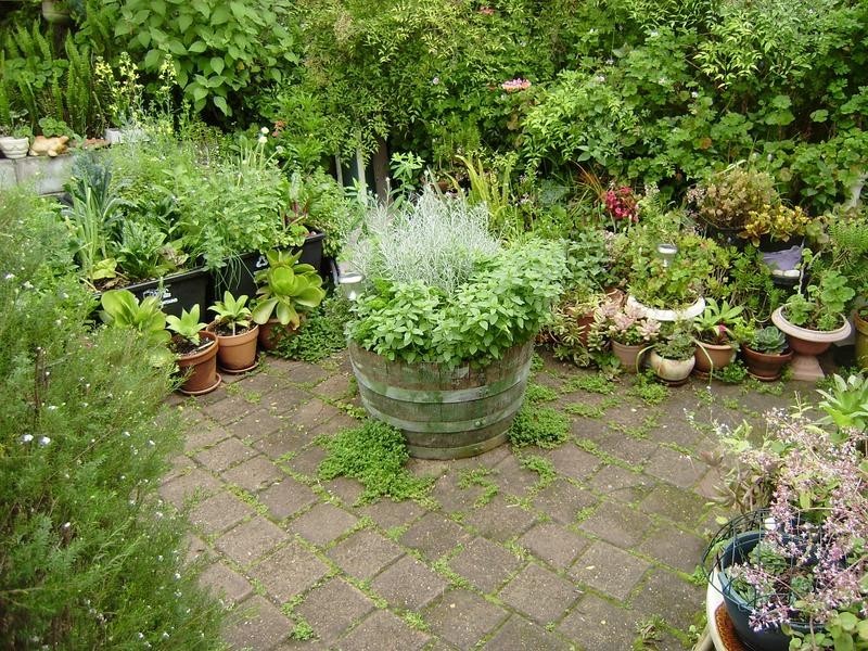 68 Liggins Road, Hazelbrook NSW 2779