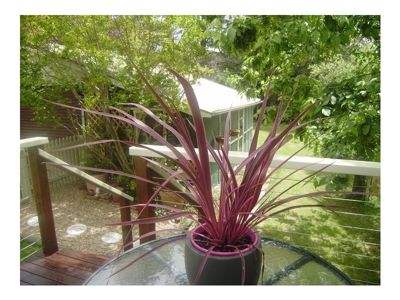 38 Stephen Street, Lawson NSW 2783