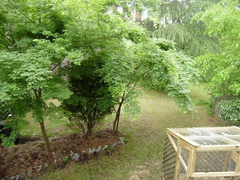 43 Hall Parade, Hazelbrook NSW 2779