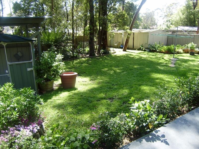 11 Cliff Avenue, Hazelbrook NSW 2779