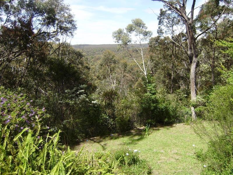 113 Boronia Road, Bullaburra NSW 2784