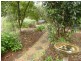 7 Spinebill Lane, Bullaburra NSW 2784